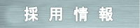 採用情報