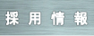 採用情報